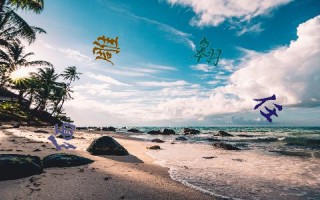巴西vs美属(巴西vs美国直播)