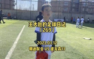 看足球日记(足球日记100字)