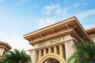 佳兆业VS武汉(佳兆业武汉分公司)