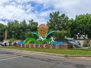 梅县足球场(梅县足球场的诗)