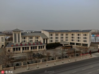权健足球俱乐部(权健足球俱乐部的主力阵容)