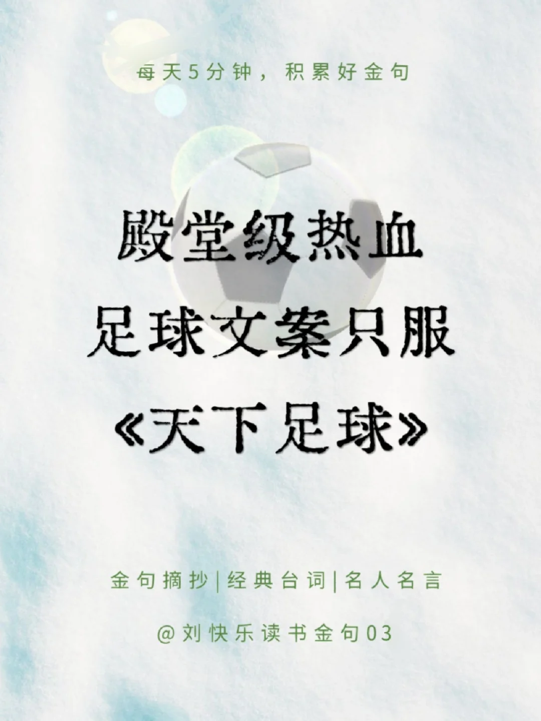 天下足球奇迹(天下足球 致敬传奇)  第2张