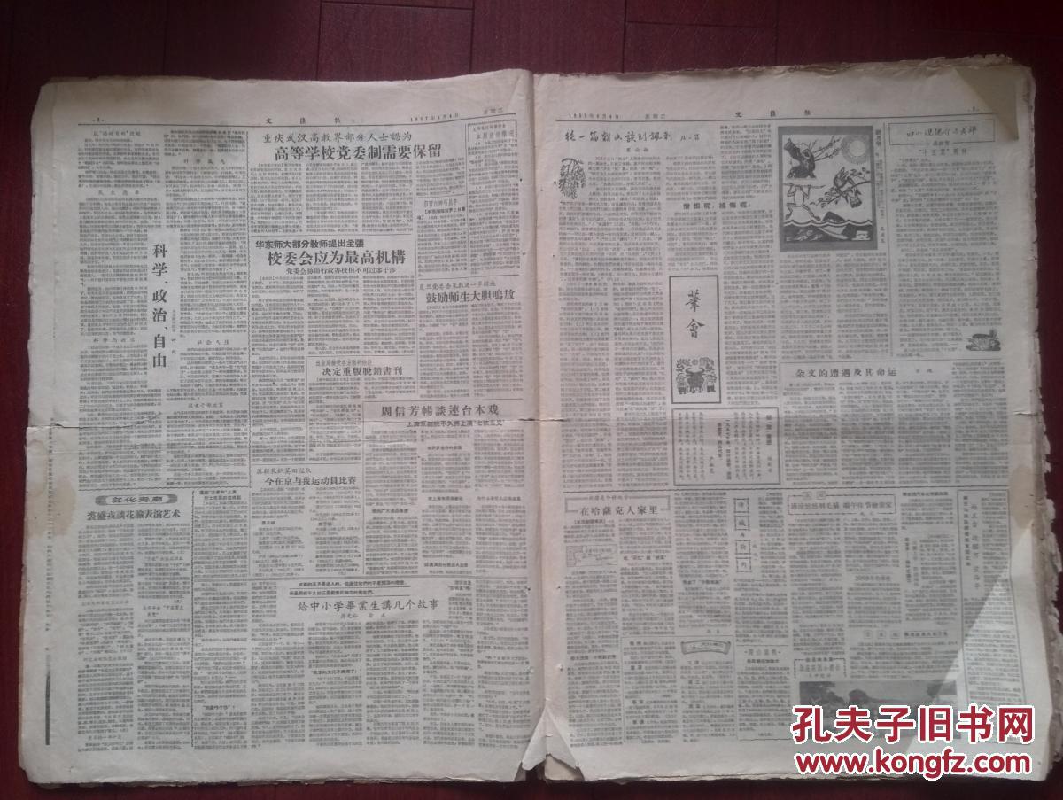 高龙足球(高龙足球运动员)  第2张