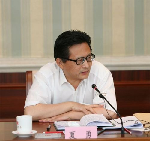 夏勇足球(中国足协夏辉)  第2张