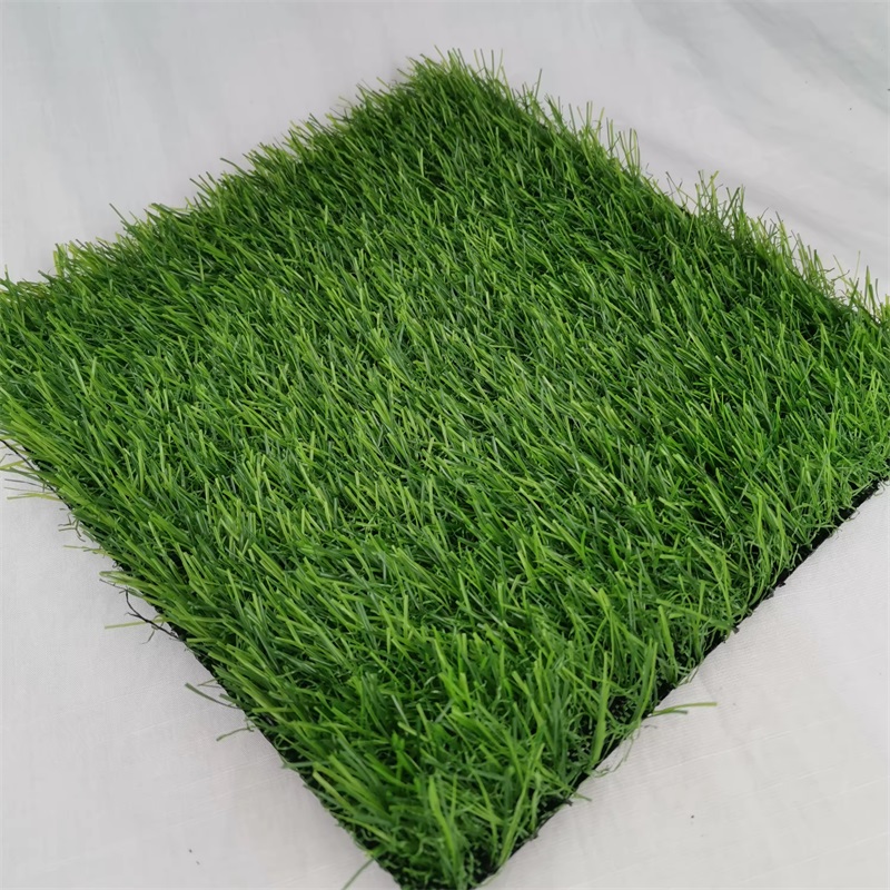 足球用草(足球草坪用什么草)  第1张