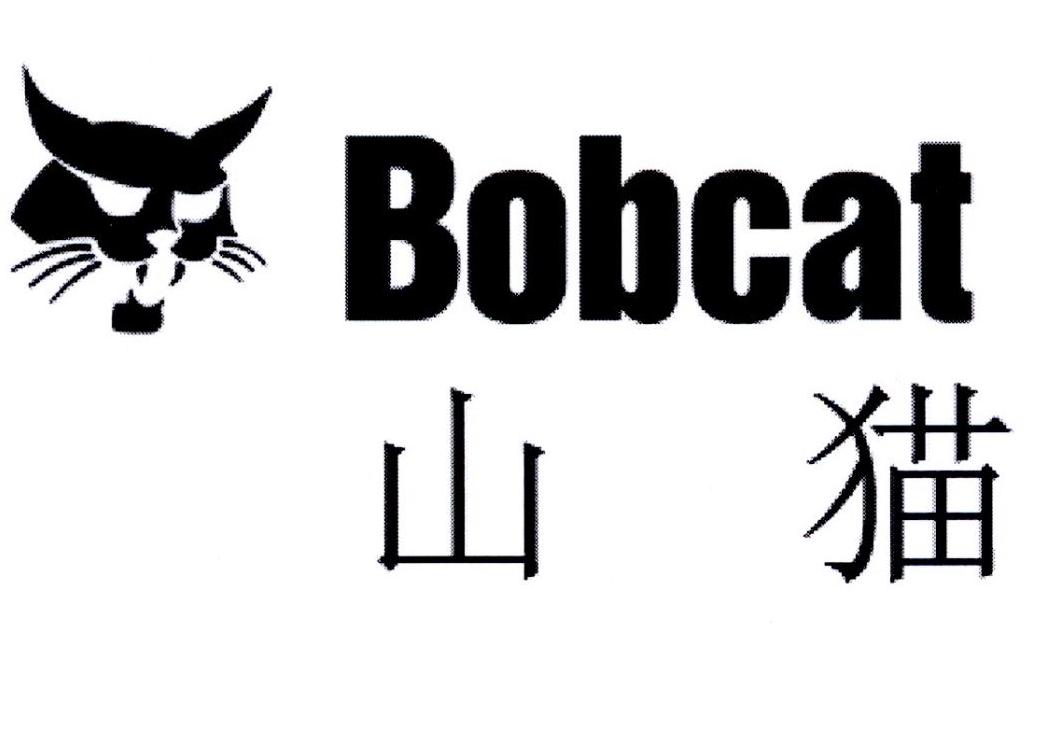 2019狂热vs山猫(热火vs山猫61分央视全场录像)  第1张