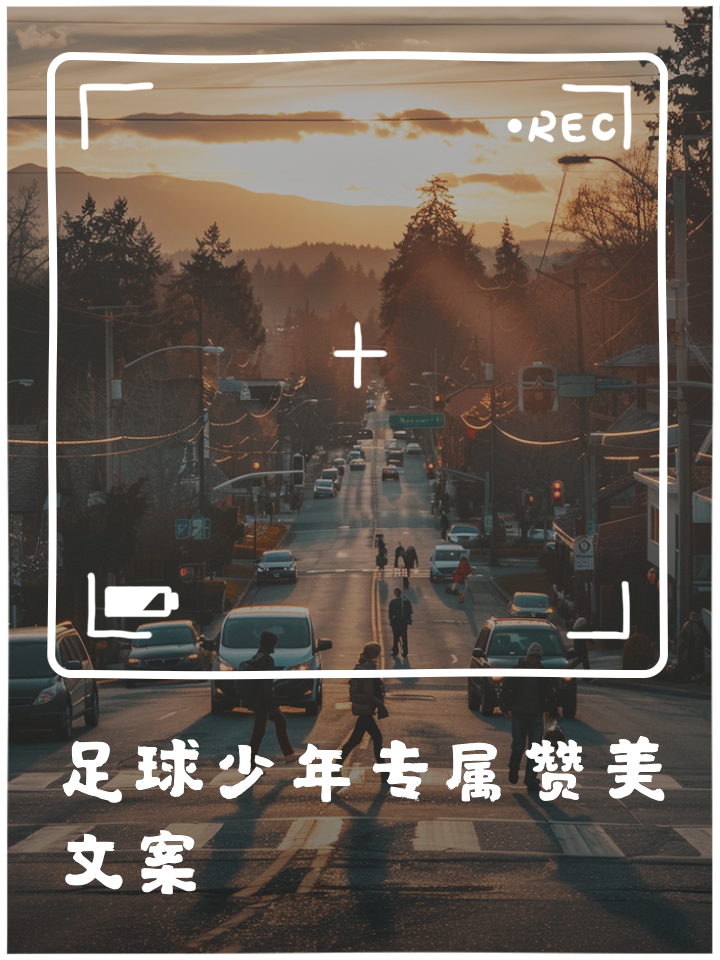 表扬足球(表扬足球队员经典语录)  第2张