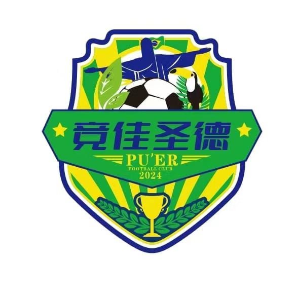普洱足球队(普洱市足球队)  第2张