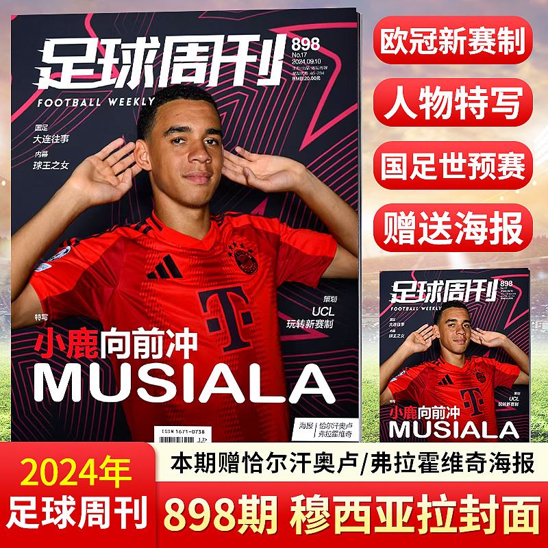 足球本托纳(托特纳姆足球俱乐部)  第2张