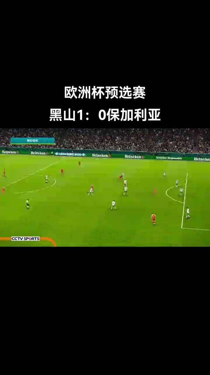 足彩黑山vs捷克(足彩黑山vs捷克比分预测)  第2张