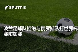 俄罗斯波兰足球(波兰 俄罗斯足球)  第2张