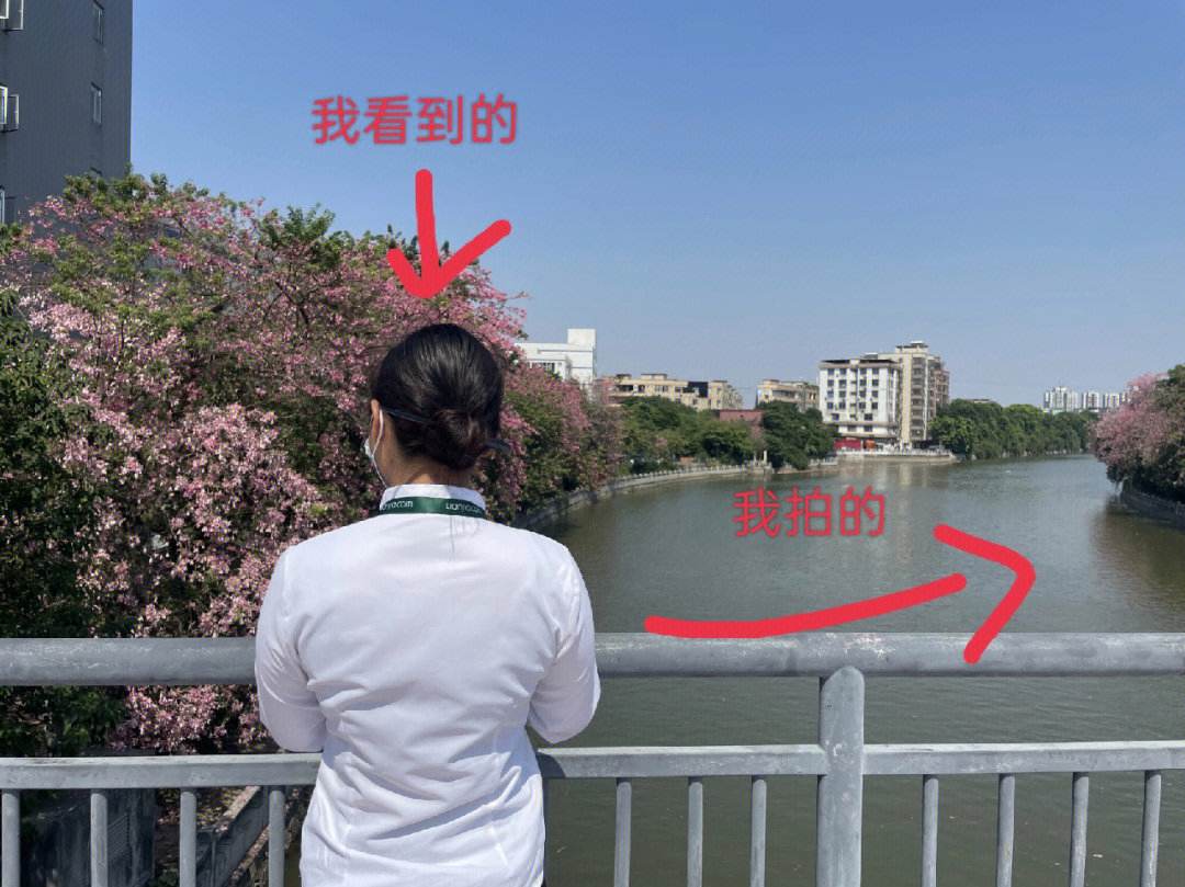 鹅掌坦足球场(鹅掌坦休闲会所)  第2张