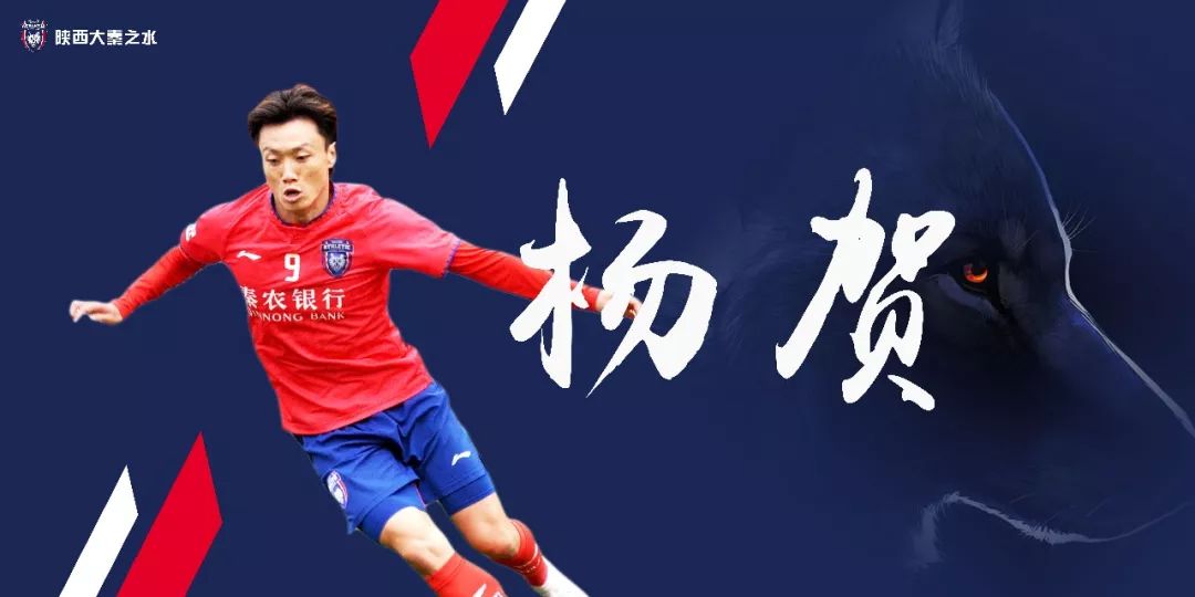 杨教授足球(小说 足球教练 杨)  第2张