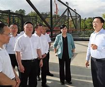 王凤珠足球(广西大学王凤珠)  第2张