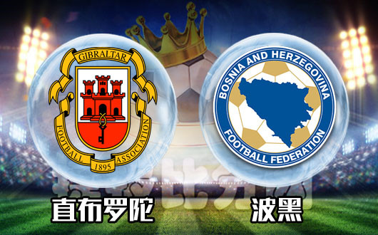 美国vs波黑比分(波黑与美国)  第2张
