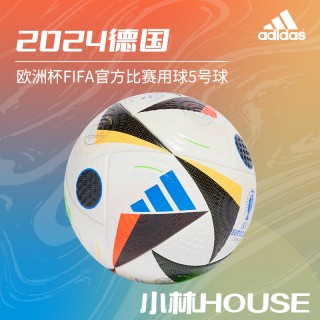 欧洲杯fifa足球排名(欧洲杯fifa足球排名榜)