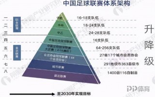 中国足球改革(中国足球改革总体方案)