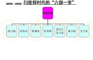 足球的分工(足球分为哪几部分)