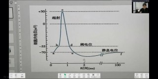 超射足球(足球超远距离射门视频)