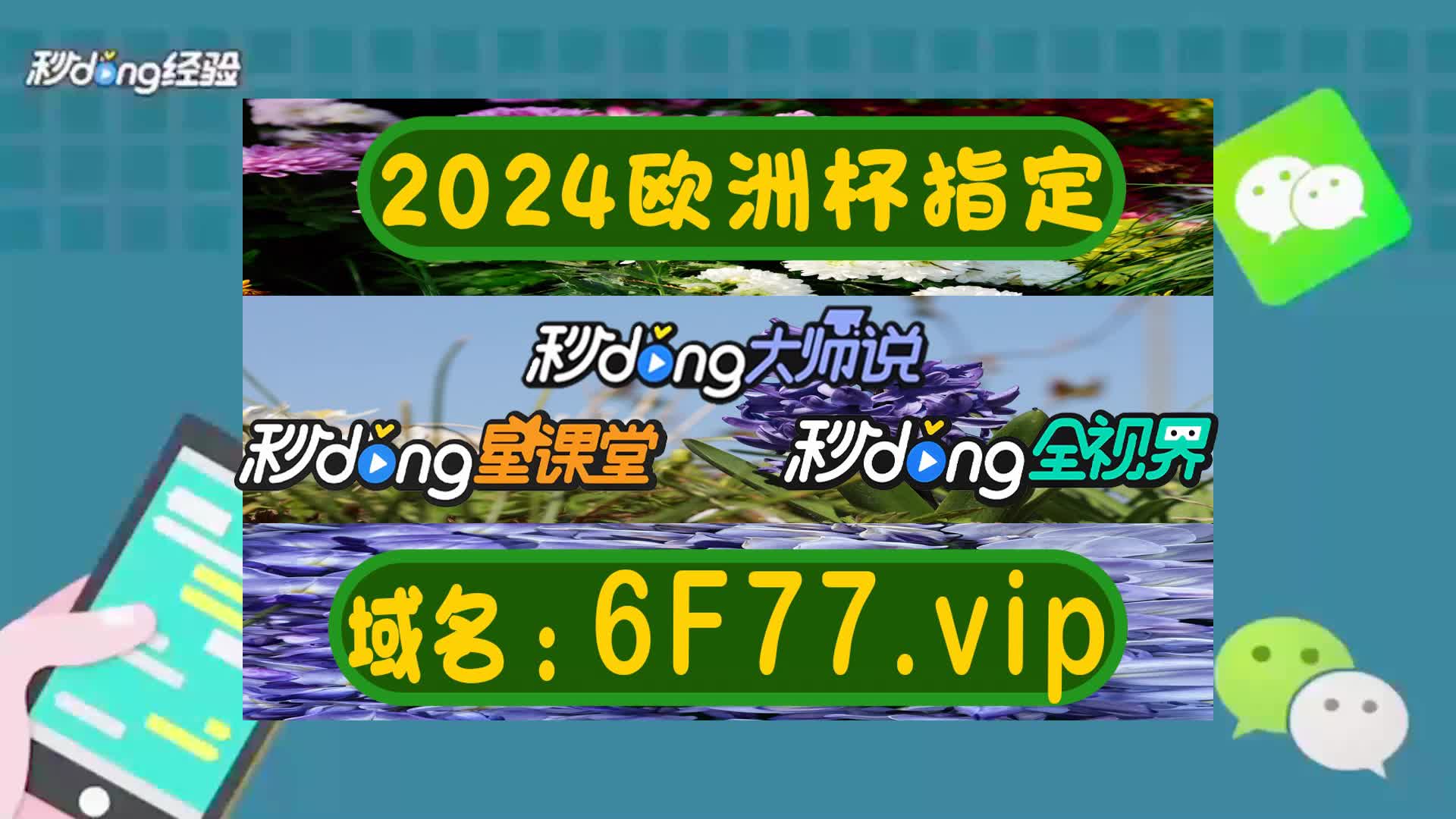 2024欧洲杯 *** 站内(2021欧洲杯 *** 何时停售)，揭秘即将到来的欧洲杯 *** ，何时停售？，揭秘即将到来的欧洲杯 *** ，何时停售？  第2张