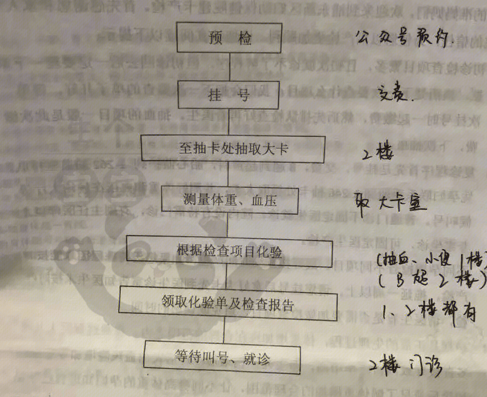 B超中孕nt(b超中孕是什么意思)  第2张